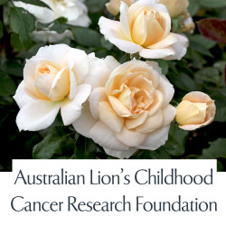 Australian Lions Childhood Cancer Research Foundation